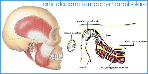 Studio Ortodontico Dott.ssa Silvia Bernini Bergamo